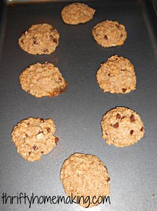 fourless oatmeal chocolate chip cookies