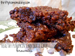 Healthy Pumpkin Chocolate Chip Brownies