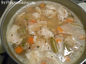 Quick Chicken Soup
