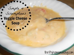 Quick & Simple Vegetable Cheese Soup