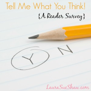 Tell Me What You Think! {Reader Survey}