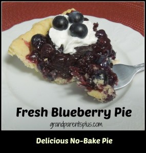 fresh-blueberry-pie-no-bake