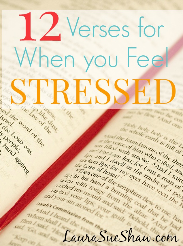 12 Verses for When You Feel Stressed