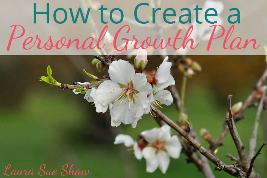 Are you sitting stagnant in your life? Follow these easy steps to create a personal growth plan to improve in any area of your life! 