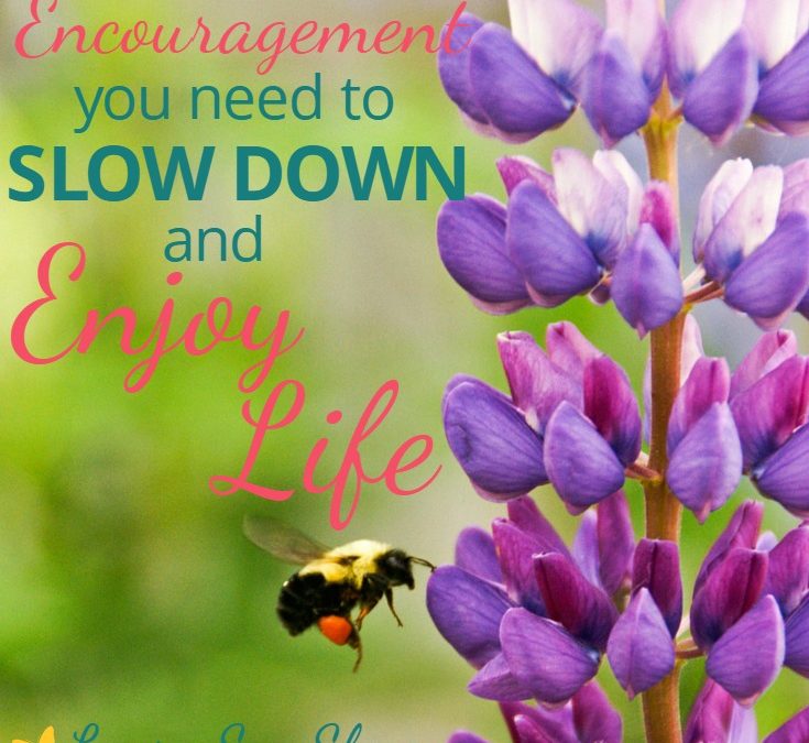 Encouragement You Need to Slow Down and Enjoy Life