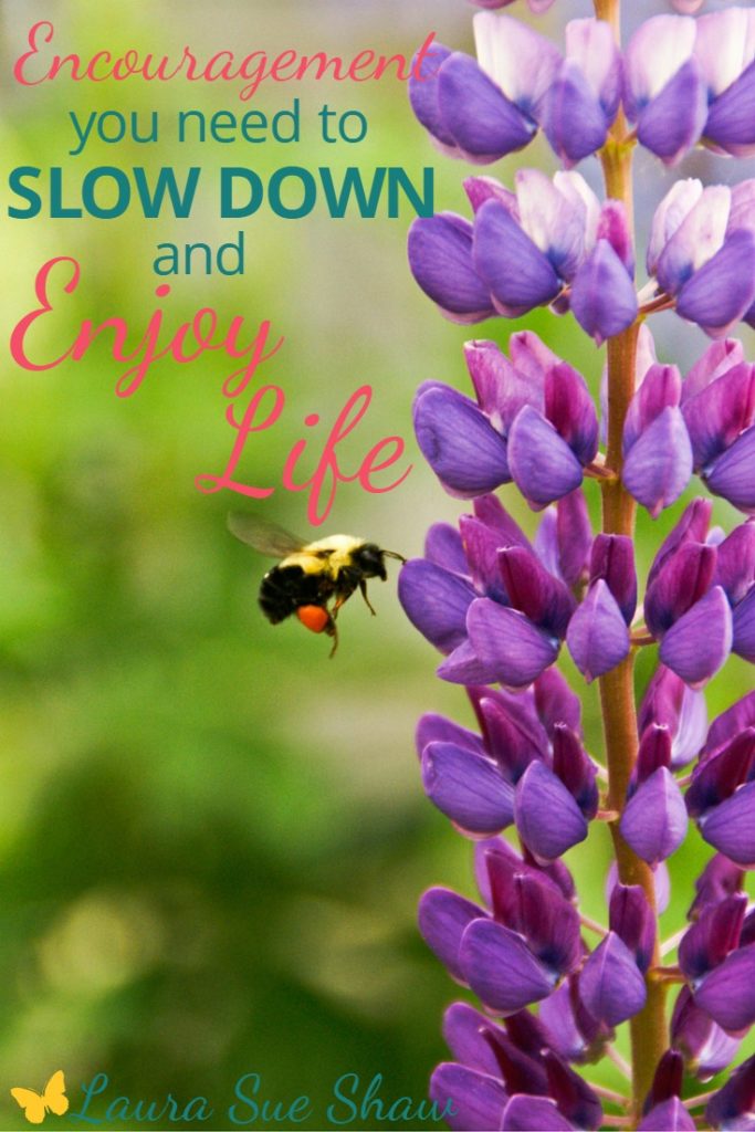 We live in such a fast-paced world. Do you ever wish you could slow down and enjoy life more? Here is some encouragement to help you do just that.